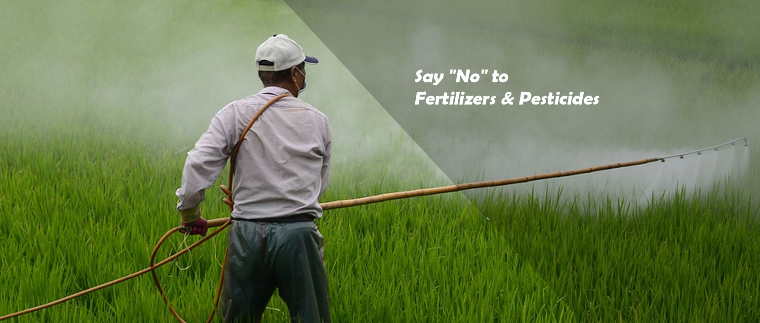 No to  Fertilizers & Pesticides